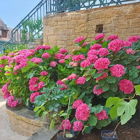 ベッド・アンド・ブレックファスト La Perigourdine サルラ・ラ・カネダ