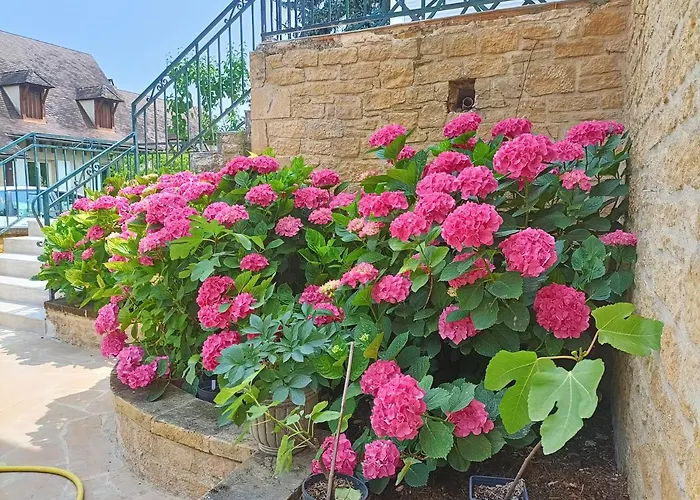 Bed & Breakfast La Perigourdine Sarlat