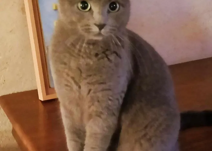 La Perigourdine Bed & Breakfast